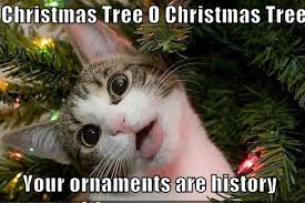 freefm.lv/images/articles/x-mas_sarkangalvite.jpg